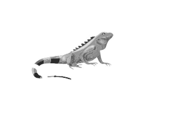 Ecopetrol-ok